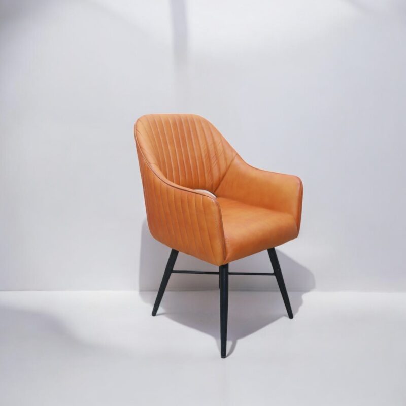 Dinning Leather Accent Chair With Iron Legs